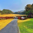 뉴코리아 이미지