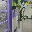 더스카이영어교습소