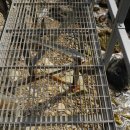 강릉정동 공인중개사사무소 이미지