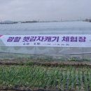 선주네 생선팜 이미지