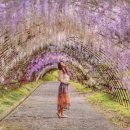 호남이발관 이미지