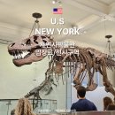 뉴욕 자연사박물관 입장료와 층별 전시구역 알아보기