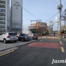 생수탕 | 익산 카페 시트러스 교토 감성 대나무숲 카페 내돈내산 후기
