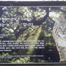 자연인PC방 이미지