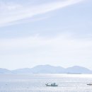 사촌해수욕장 이미지