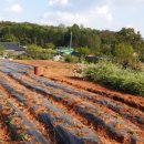 이규행가옥 이미지