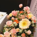 레크레아티오
