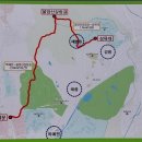 화랑대역 1번출구 버스정류장 이미지