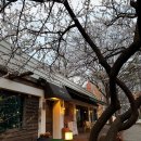 평천로74번길 | 인천 애견동반 이탈리안 레스토랑 [힐록] 🐾