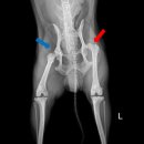 남창미르동물병원 이미지