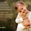 삶과사랑