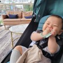 모모마트 이미지