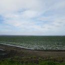 광야농장 이미지