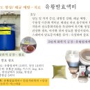 착색기에 과일 당도와 경도 향상법 이미지