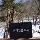 소나무 황토빌 이미지