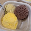 아이스걸크림보이더테라스 | 강남 젤라또 맛집 아이스걸크림보이 더테라스 내돈내산 후기