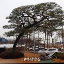 감탄밥상 미사점 | 하남 미사 맛집 잊지 못할 하남 맛집 추천