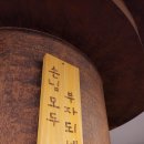 쌩마산찜 - 진주시 | 쌩마산찜