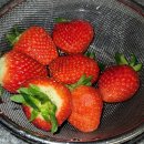 부자면 시지점 | 캘빈클라인👜 | 마왕족발 | 설날🫠 | 의리짬뽕 | 부자면 | 취향 솔직후기💫 | 아리츠 | 모얼동 | 이얼즈