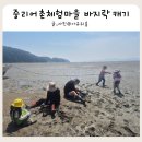 서산 가볼만한곳 6월 가족 여행지 추천 중리어촌체험마을 갯벌 체험