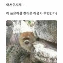 은하수카페 이미지