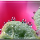 예쁜보석 이미지