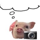 루미의 아이톡 안경원 이미지