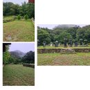 백양사 | 전남 장성 사시사철 명소 천년 고찰 백암산 백양사 후기