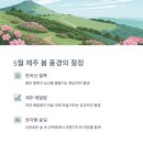 자연감성 이미지