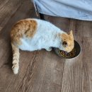 요섭농장 이미지