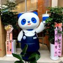 별빛백도 | 부산 서면 차백도 오픈! 후기 ft. 살벌한 오픈런 웨이팅