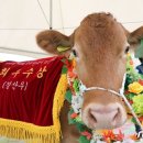 경진할인마트 이미지