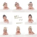 성정유치원 | 수원 가성비 갑🌟 내돈내산 50일 촬영 갔다가 성장앨범까지 계약하고 온 파라베베 스튜디오 후기