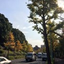 카페15도 이미지