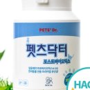 펫츠매일