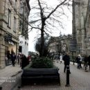 하로홈즈 이미지