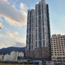 거제 장평 유림노르웨이 숲 이미지