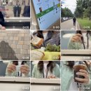 개신하나약국 | 2025 9월 어쩔수가 없다