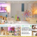 광주캐터리 이미지