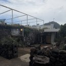 그레이그로브 | 제주도 서귀포 사계해변 감성카페 그레이그로브 추천