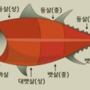 참치장수 이미지