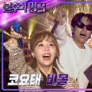코&태 이미지