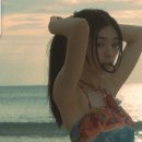 헤피데이