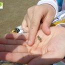 부교농장 이미지