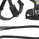 브리더독 이미지