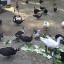 동녁농장 이미지