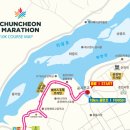 서춘천농협주유소 이미지