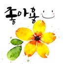 성경 세탁 이미지
