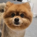 몽베베 이미지
