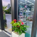 망포드림약국 이미지